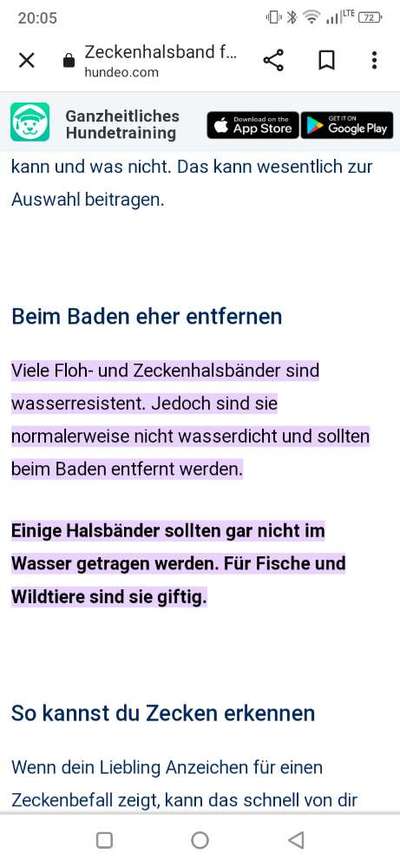 Immer wieder das leidige Thema Zecken-Beitrag-Bild