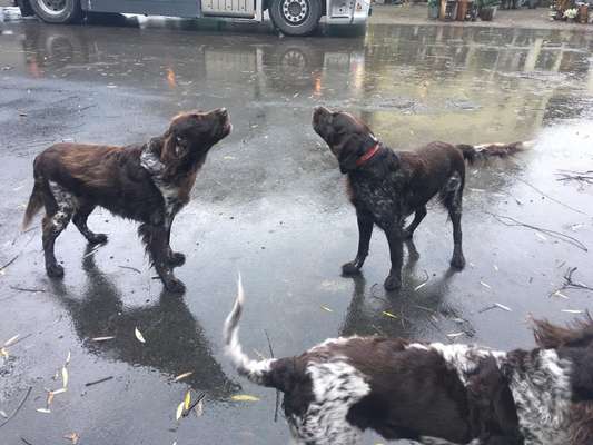 Lieblingsbild :D-Beitrag-Bild