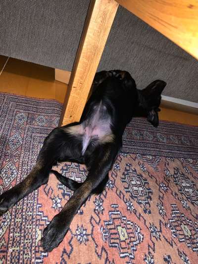 Fotochallenge Nr.65-Beitrag-Bild