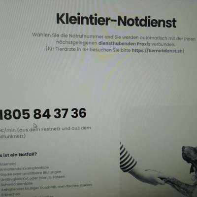 Was mache ich wenn ...-Beitrag-Bild