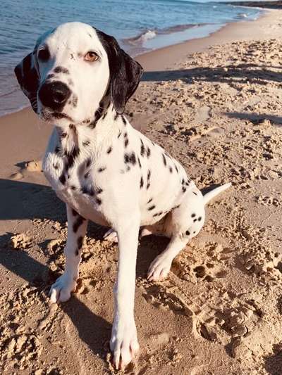 Lieblingsbild-Beitrag-Bild