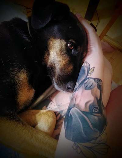 Erinnerungs Tattoos-Beitrag-Bild