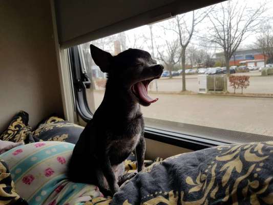 120. Fotochallenge-Beitrag-Bild