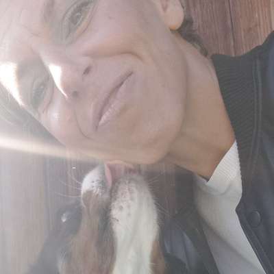 Hundetreffen-Gemeinsam spazieren gehen