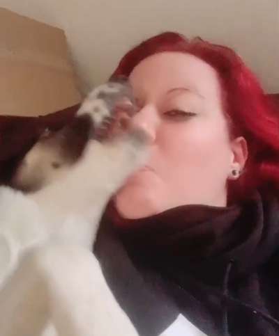 Die lustigsten Selfies mit Deinem Hund !-Beitrag-Bild