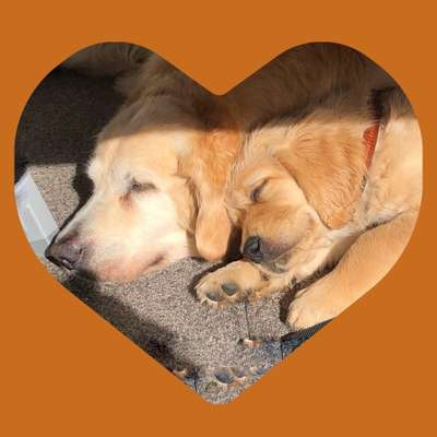 Fotochallenge liebespaare-Beitrag-Bild