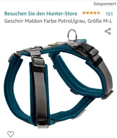 Hundegeschirr-Beitrag-Bild