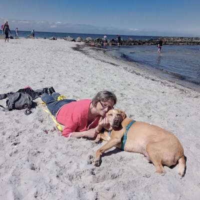 Hundetreffen-Gassi gehen-Profilbild