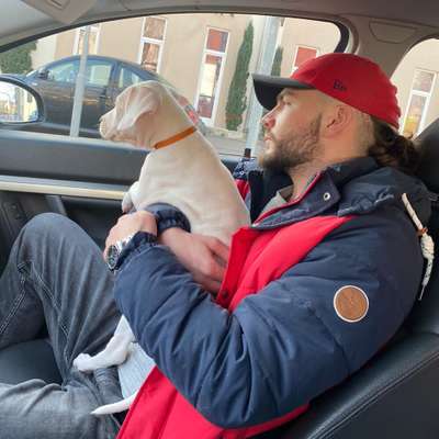 Hundetreffen-Welpentreffen In Donzdorf