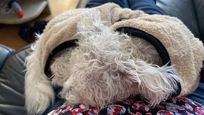 Trockenhandtuch/handschuh-Beitrag-Bild