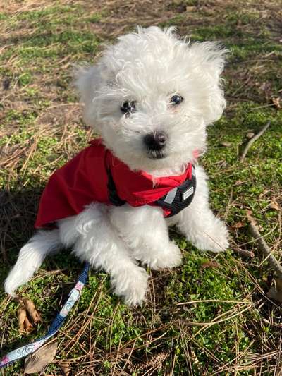 Pullis, Jacken, Hütte und alles sonstiges-Beitrag-Bild