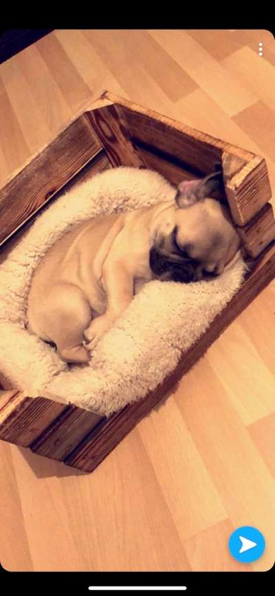 Die unbequemsten und lustigsten Schlafpositionen-Beitrag-Bild