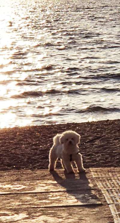 Eure Strandbilder :)-Beitrag-Bild