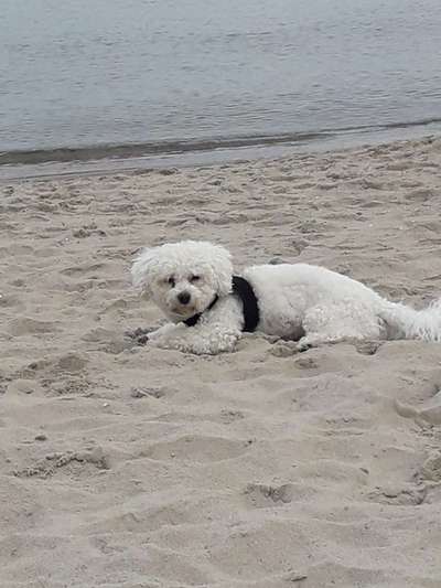 Eure Strandbilder :)-Beitrag-Bild