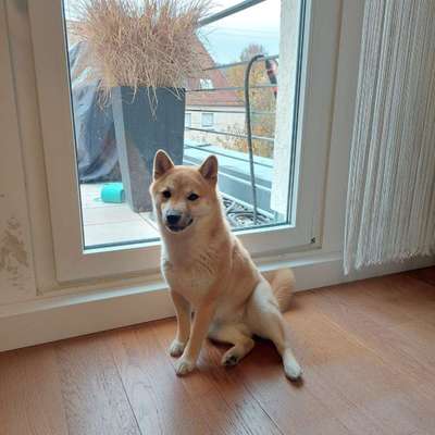 Andreas's Profilbild