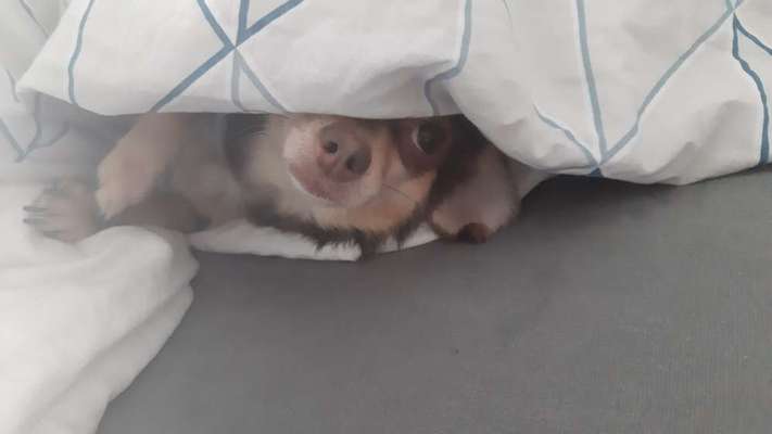 Blick fürs Detail!-Beitrag-Bild