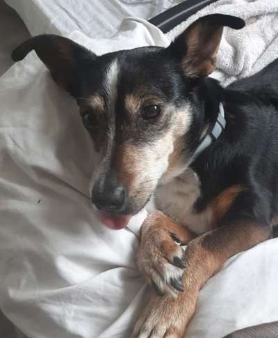 Blick fürs Detail!-Beitrag-Bild