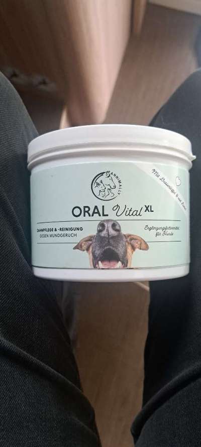 Zahnpflegepulver-Beitrag-Bild