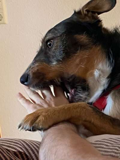 Handy-foto Challange nr. 11-Beitrag-Bild