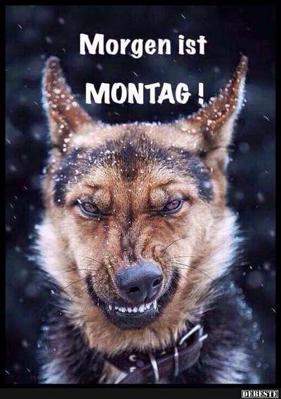 Handy-foto Challange nr. 11-Beitrag-Bild