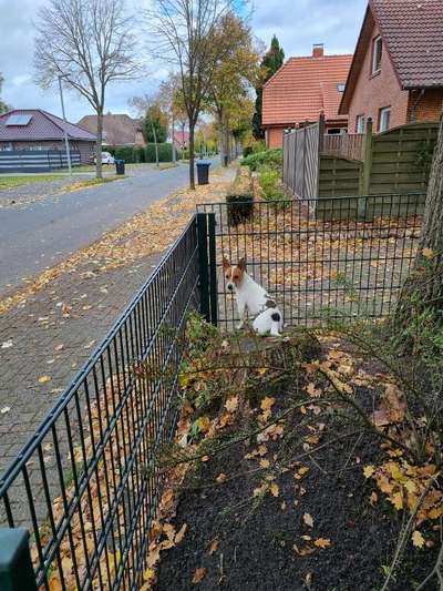 Fotos &Collagen: Beobachtungsposten-Beitrag-Bild