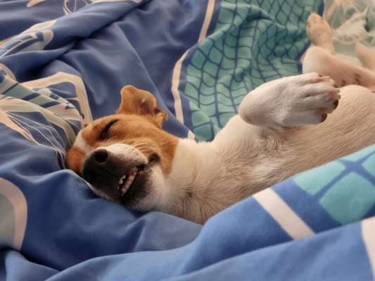 Foto Challenge Nr. 134-Beitrag-Bild