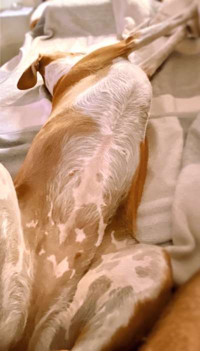 Fotochallenge Nr.65-Beitrag-Bild