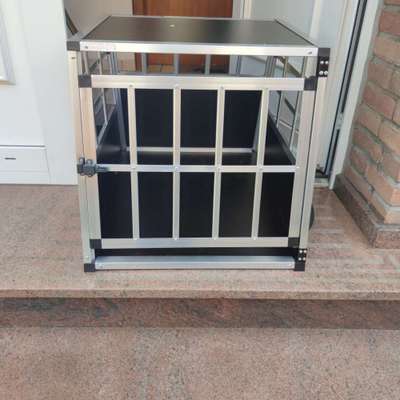 Autohundebox-Beitrag-Bild