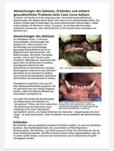 DSRA Dental Skelet Retina Anomalie-Beitrag-Bild