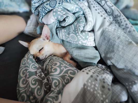 Foto Challenge Nr. 134-Beitrag-Bild