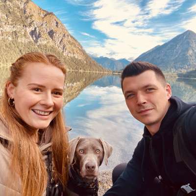 Hundetreffen-Spielen/Gassi gehen/ Training