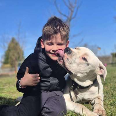 Hundetreffen-Spielfreunde gesucht-Bild