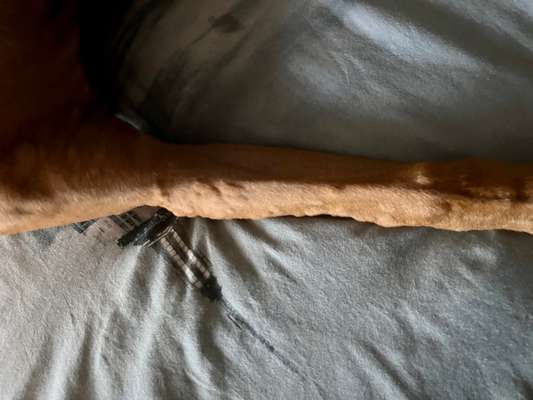 Allergische Reaktion am ganzen Körper-Beitrag-Bild