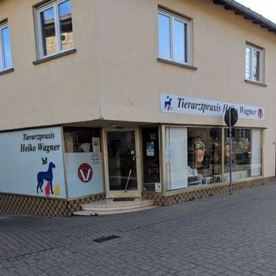 Tierärzte-Heiko Wagner-Bild