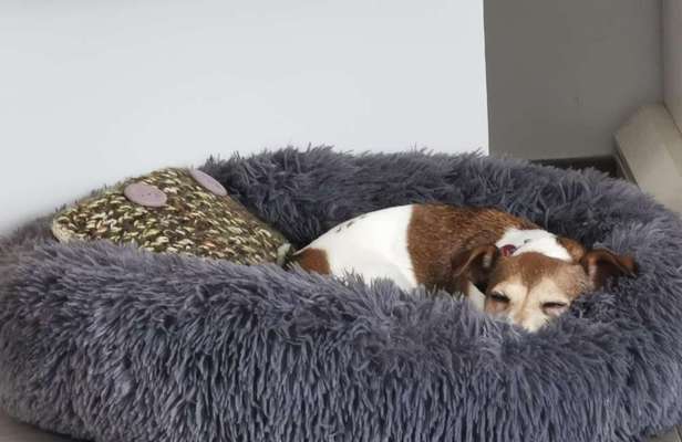 Pubertät-Beitrag-Bild