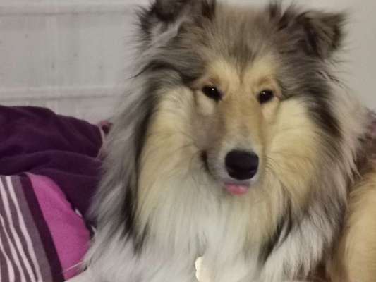 Fotochallange Nr. 57     PORTRÄT.   Beendet!!!!!!!!-Beitrag-Bild