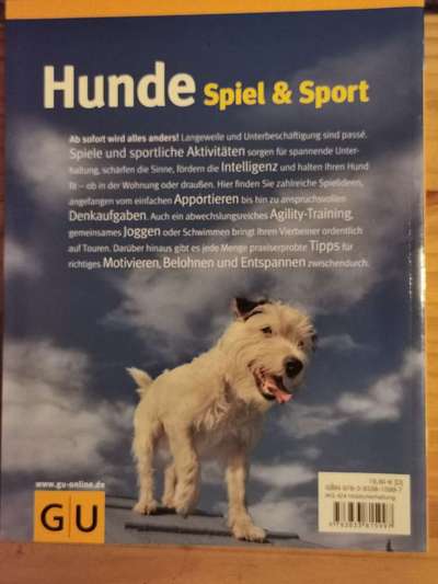 Buch Spiel &Sport mit Hunden-Beitrag-Bild