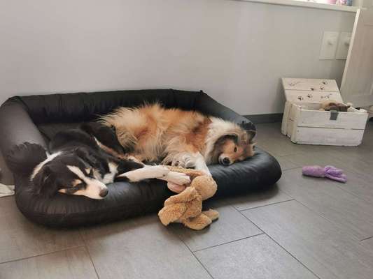 Schlafzeit!💖-Beitrag-Bild