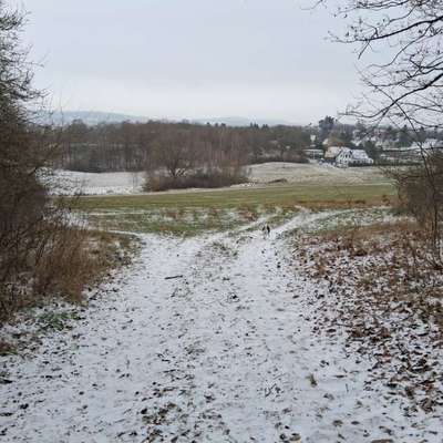 Hundeauslaufgebiet-Grosses Wiesengelände Ende Syratal-Bild