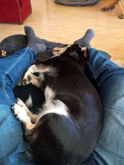 Hier ist der Spaßthread. Zum Schmunzeln und Kaputtlachen-Beitrag-Bild