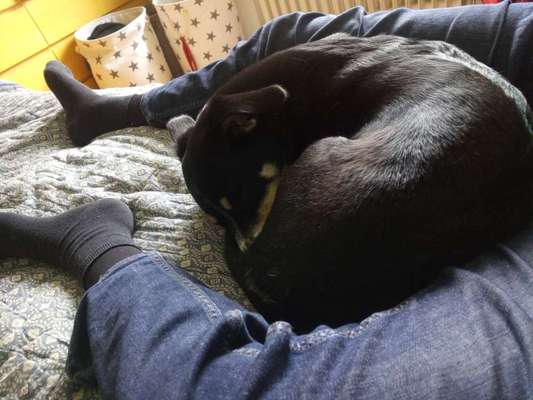 Fotochallange - Eingekugelt-Beitrag-Bild