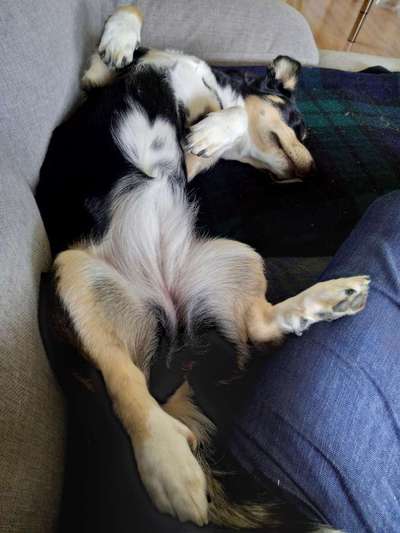 Außergewöhnliche Merkmale-Beitrag-Bild