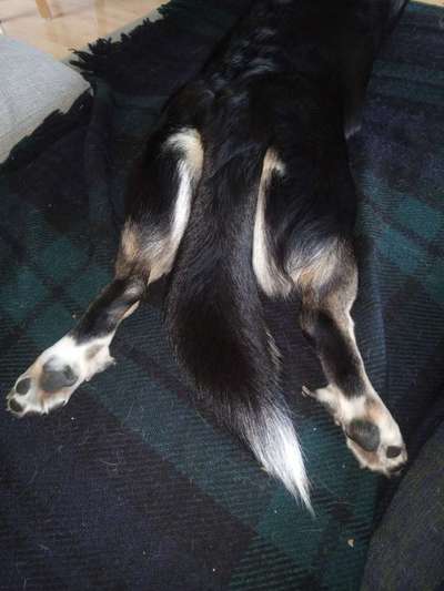 Außergewöhnliche Merkmale-Beitrag-Bild