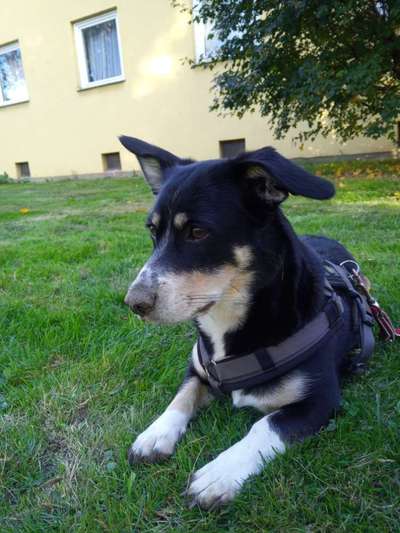 Außergewöhnliche Merkmale-Beitrag-Bild