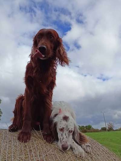 Handyfoto challenge Nr. 13: Waschlappen raus!-Beitrag-Bild