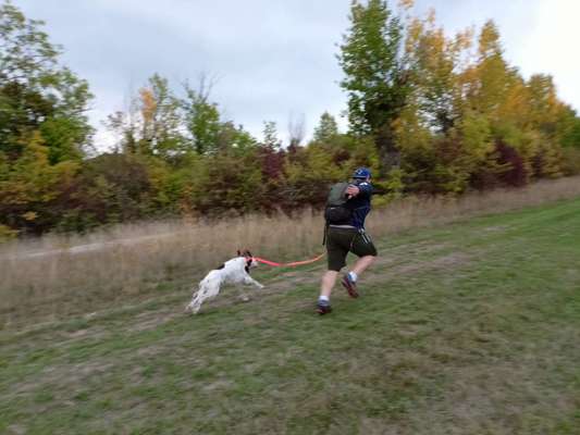 TierschutzhundeStammtisch🐕-Beitrag-Bild