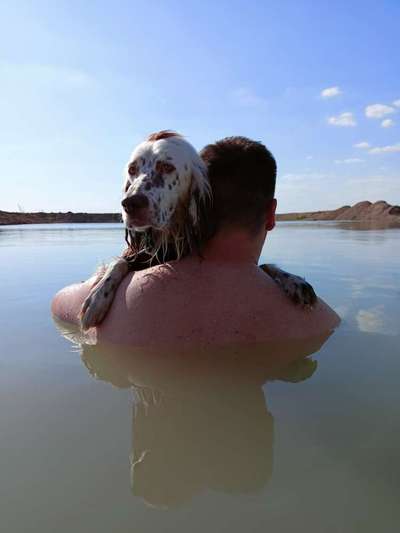 Fotosammlung: ,,Der natürliche Hund" Unbearbeitet, ungestellt und in Natura-Beitrag-Bild