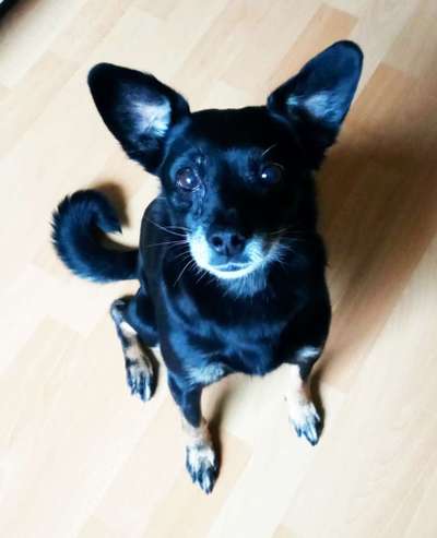 Fotochallange Nr. 57     PORTRÄT.   Beendet!!!!!!!!-Beitrag-Bild