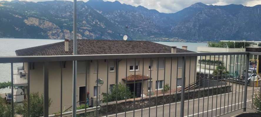 Urlaub Gardasee mit kleinem Hund-Beitrag-Bild