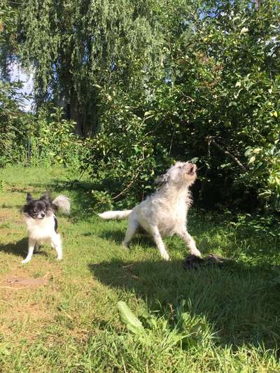 "Die eingefangene Magie des Augenblicks"-Beitrag-Bild